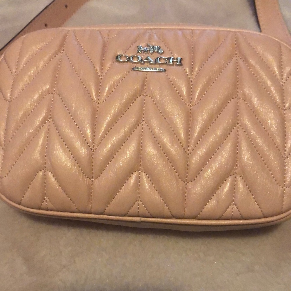 Pink coach belt bag